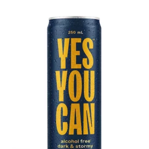 Yes You Can Dark & Stormy Review